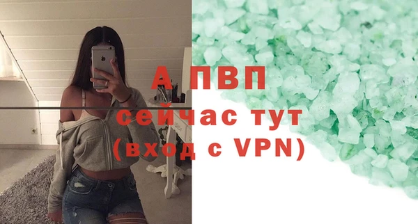 прущие грибы Беломорск