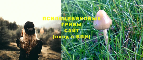 гидра Белоозёрский