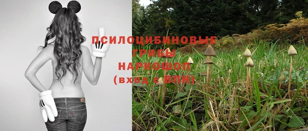 метадон Балахна