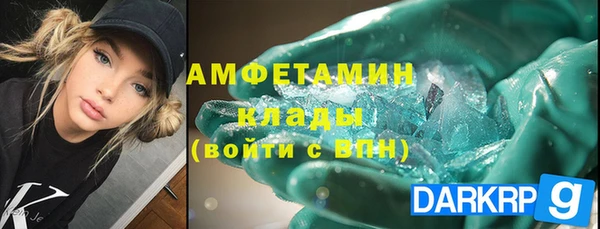 прущие грибы Беломорск