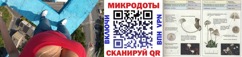 Галлюциногенные грибы прущие грибы  продажа наркотиков  Карачев 